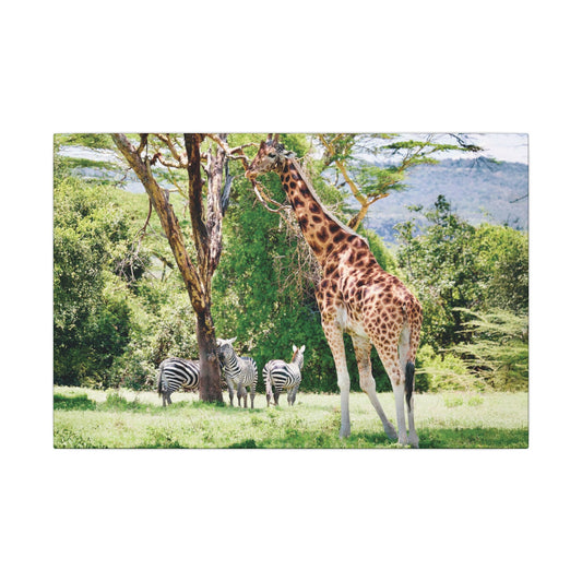 Giraffe and Zebras Print Canvas