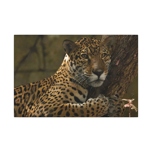 Jaguar Print Canvas