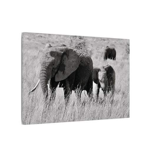 Black and White Elephants Canvas