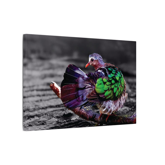 Emerald Dove Canvas