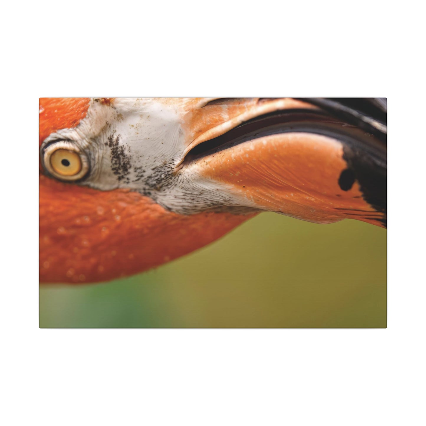 Flamingo Wall Art Canvas