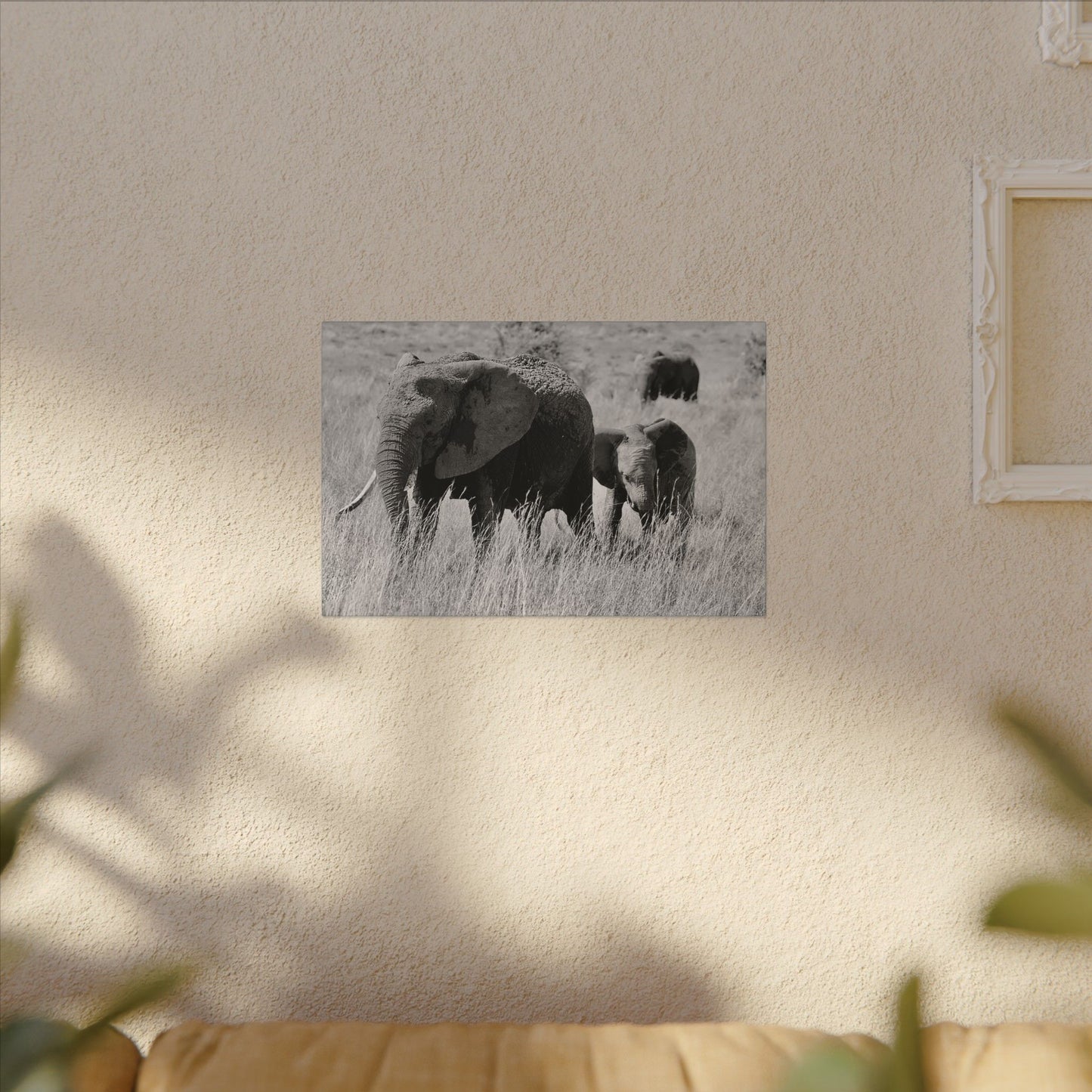 Black and White Elephants Canvas