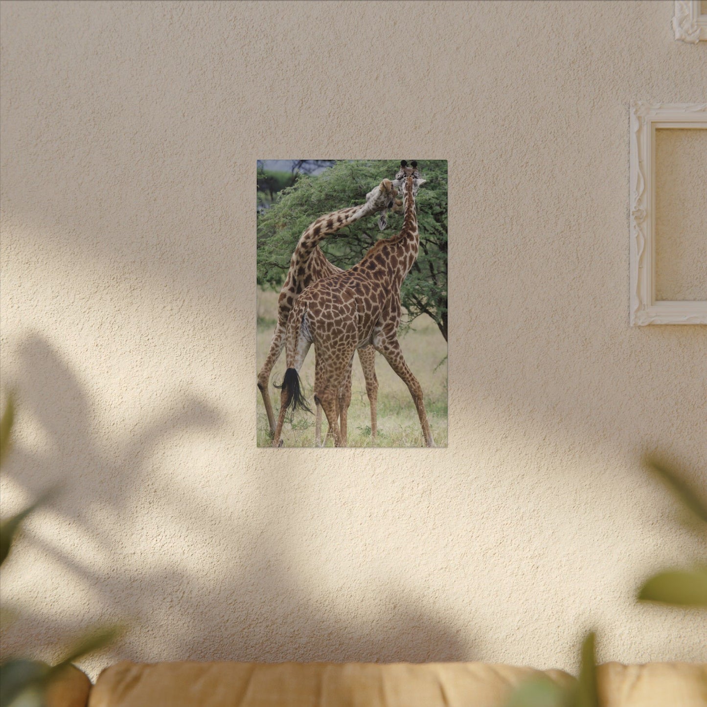 Giraffe Fight Canvas