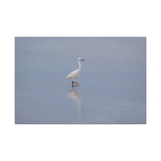 Egret Canvas