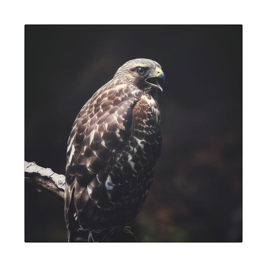 Red Tailed Hawk Canvas