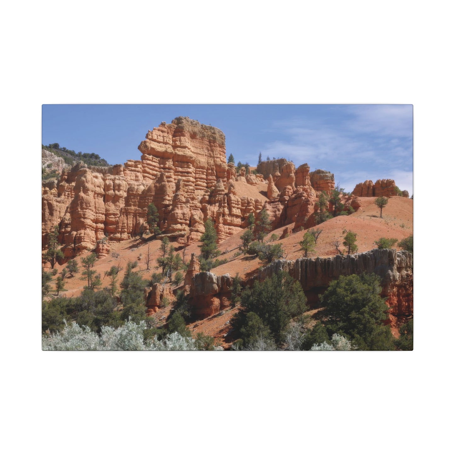 Red Canyon Utah Canvas