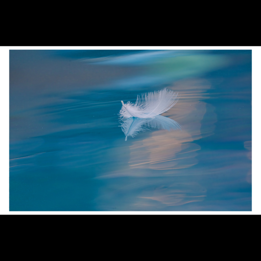 Feather on Water