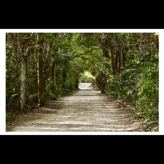 Florida Trail