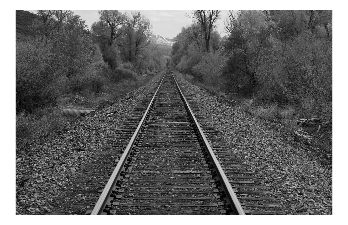 Black and White Railroad