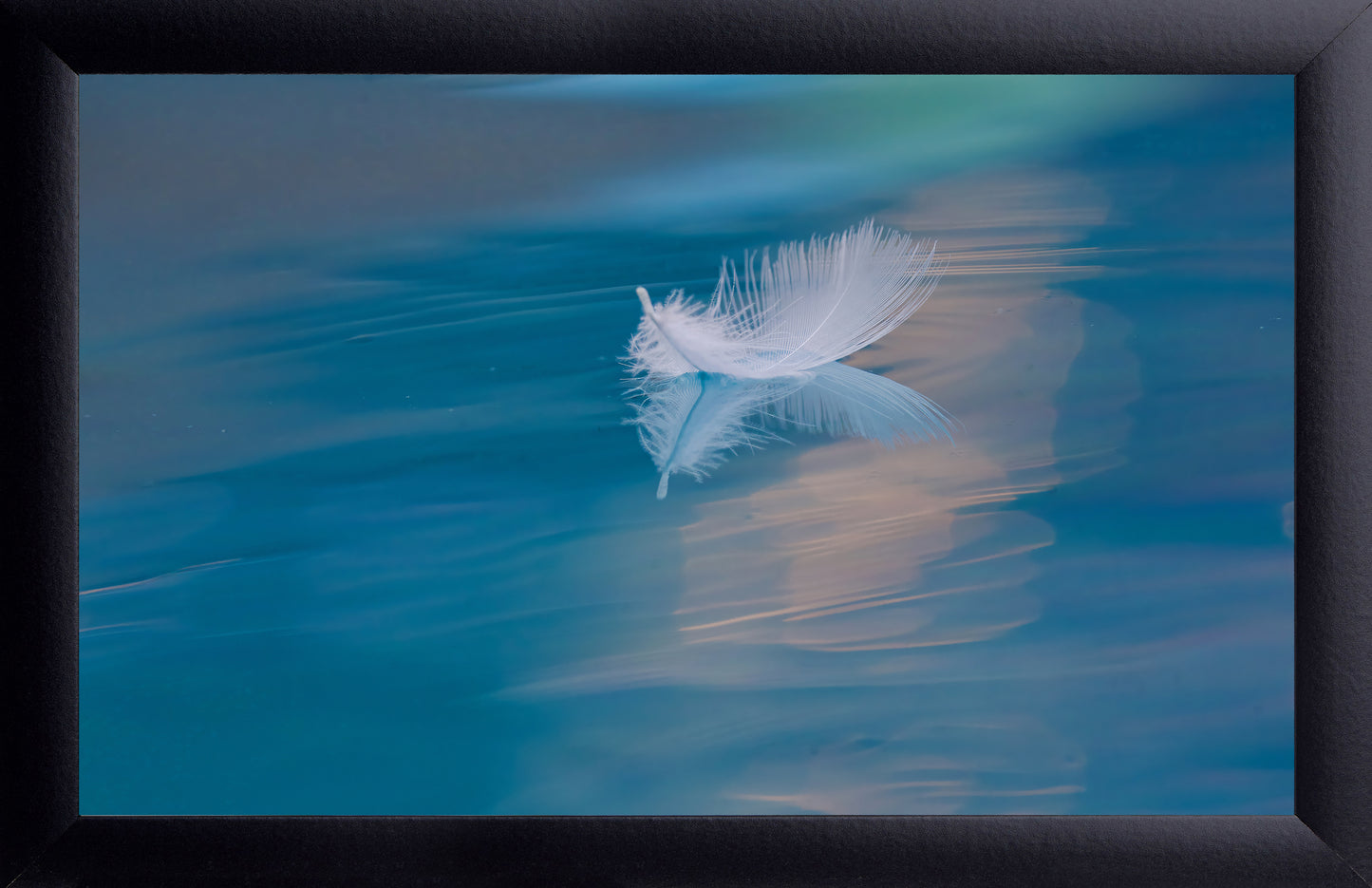 Feather on Water